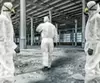 Asbestos Survey Services